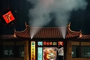 自然纪录《苔藓地图》中岩石表面细密的绿色苔痕